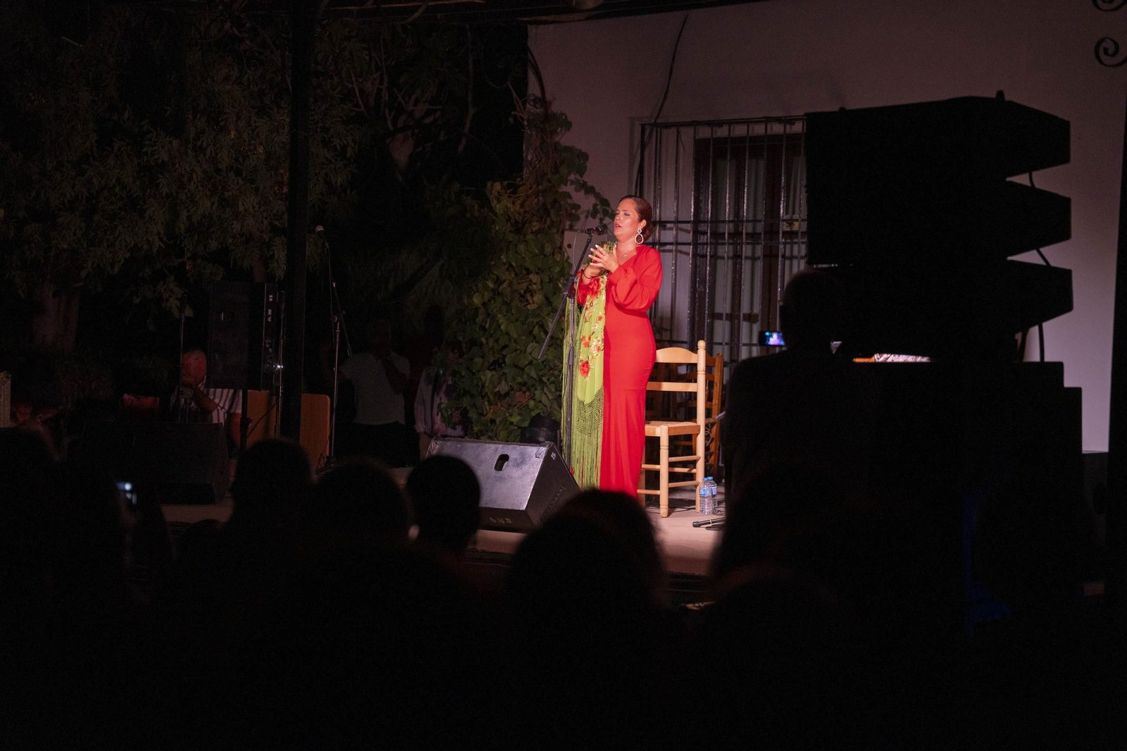 Las mejores imágenes del Festival de Flamenco en Fondón