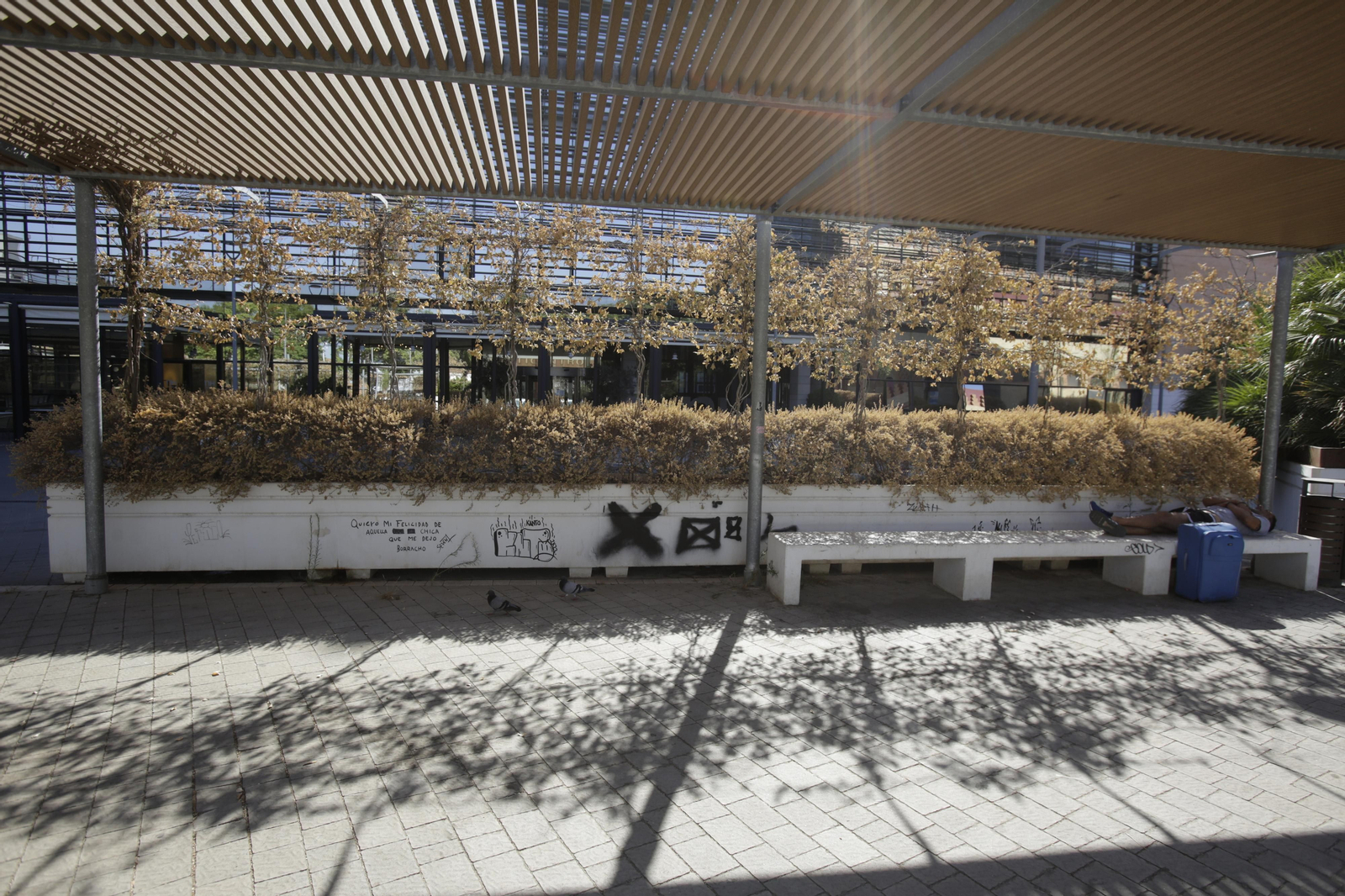 Abandono y mal estado de la plaza entre Mercadona y Plaza de Armas