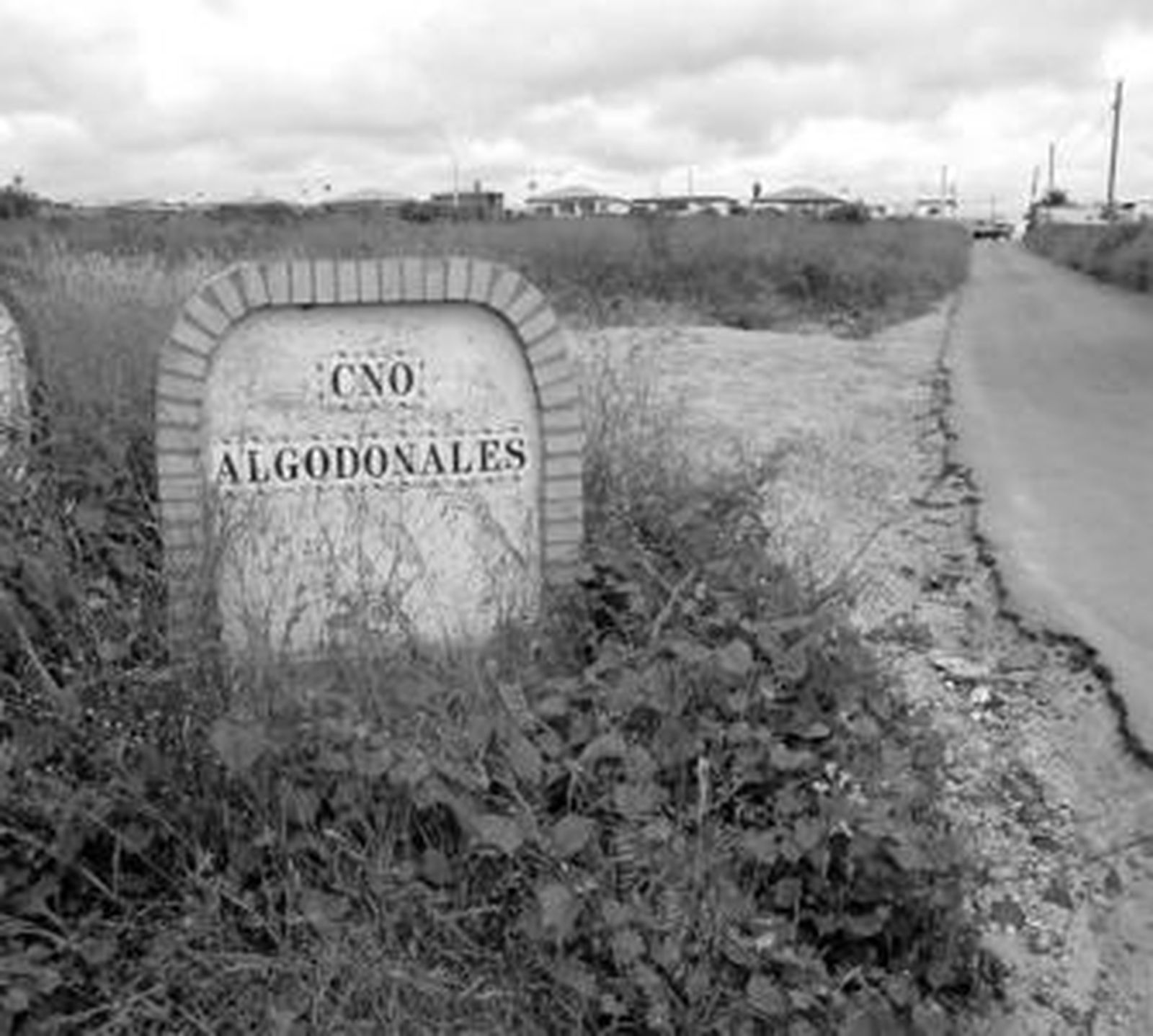 Los últimos casos se ubican en el Camino de Algodonales.