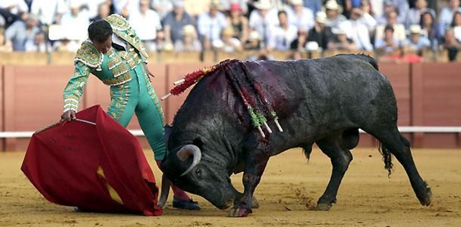 Antonio Ferrera, mejor faena con el toro 'Mecanizado', de Victorino