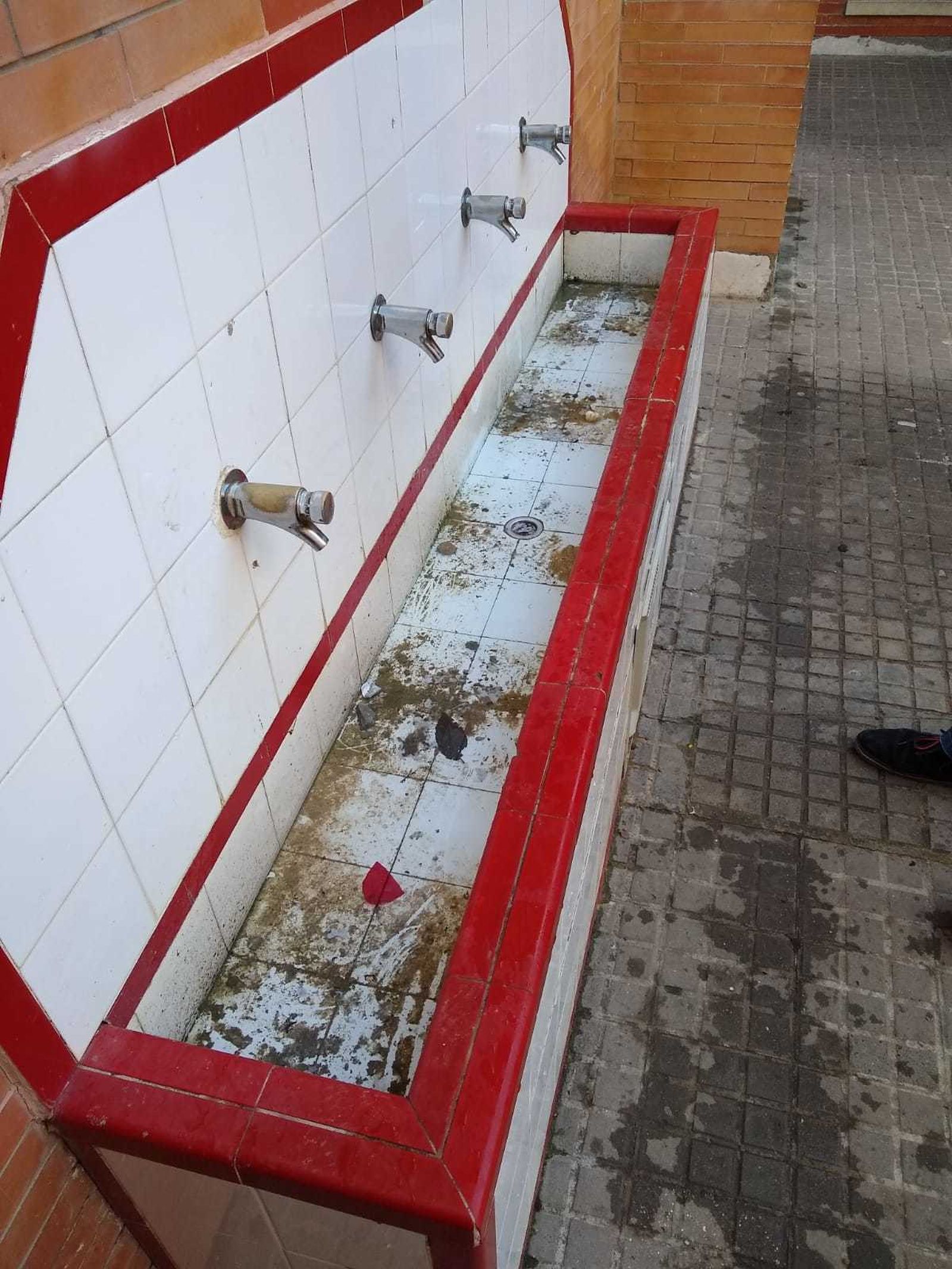 La fuente del colegio, instalada para que los niños beban, en el patio en el que se han visto las ratas.