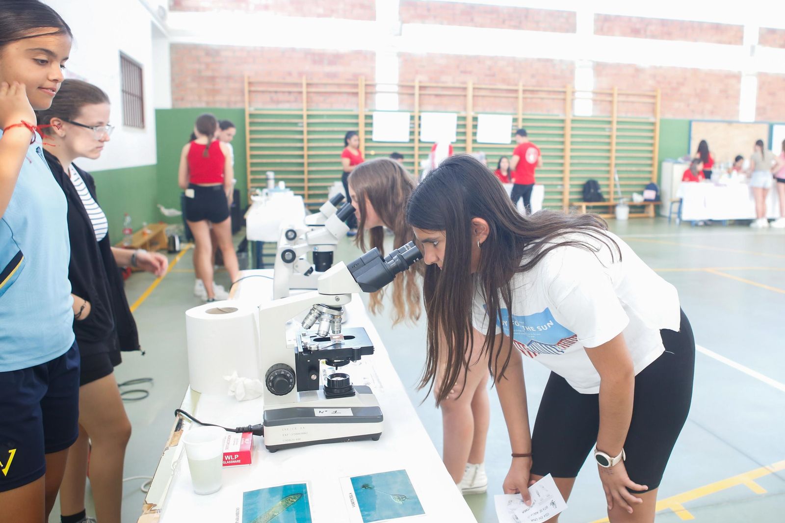 Fotos de la Feria de las Ciencias del IES Mar del Sur de Taraguilla