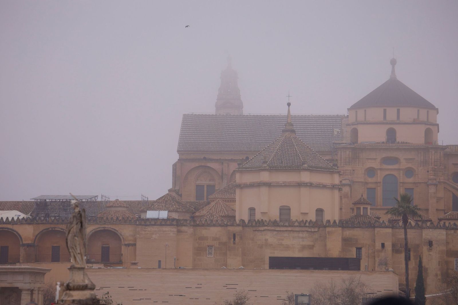 Córdoba amanece bajo la niebla el último día de 2025, en fotos