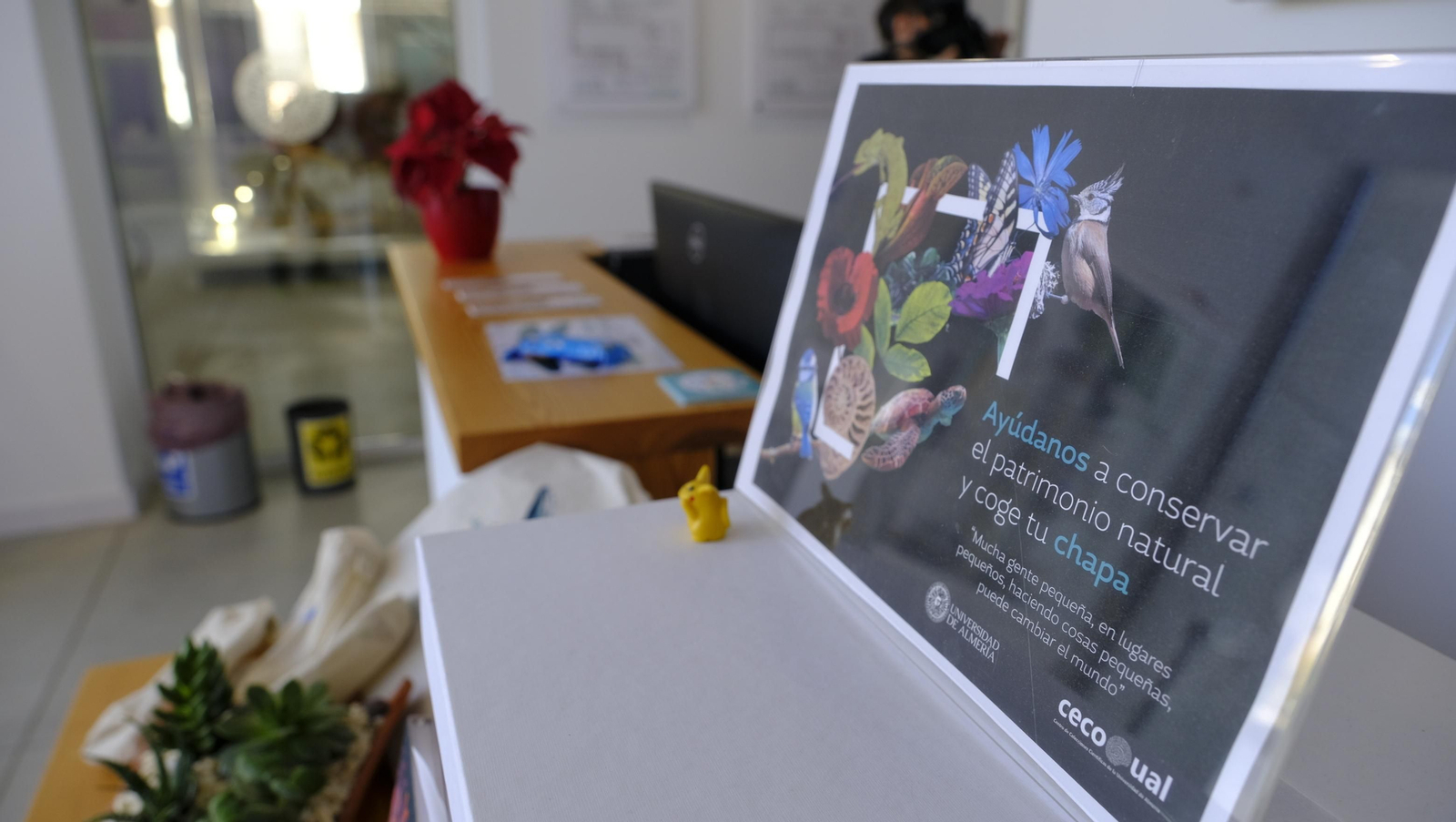 Descubre en estas fotos las maravillas que esconde el Pabellón de Historia Natural de la UAL