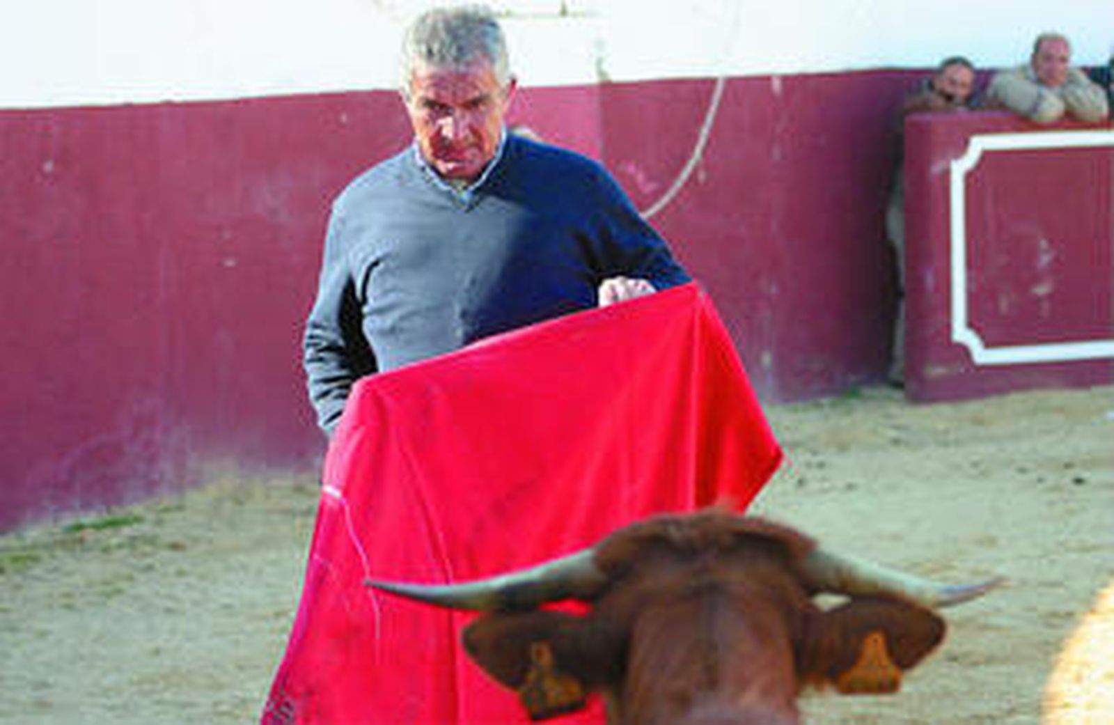 José Luis Galloso en la tarde del pasado lunes, en la placita de tientas de 'Cantora', ante una becerra de la ganadería de Hermanos Vilariño.