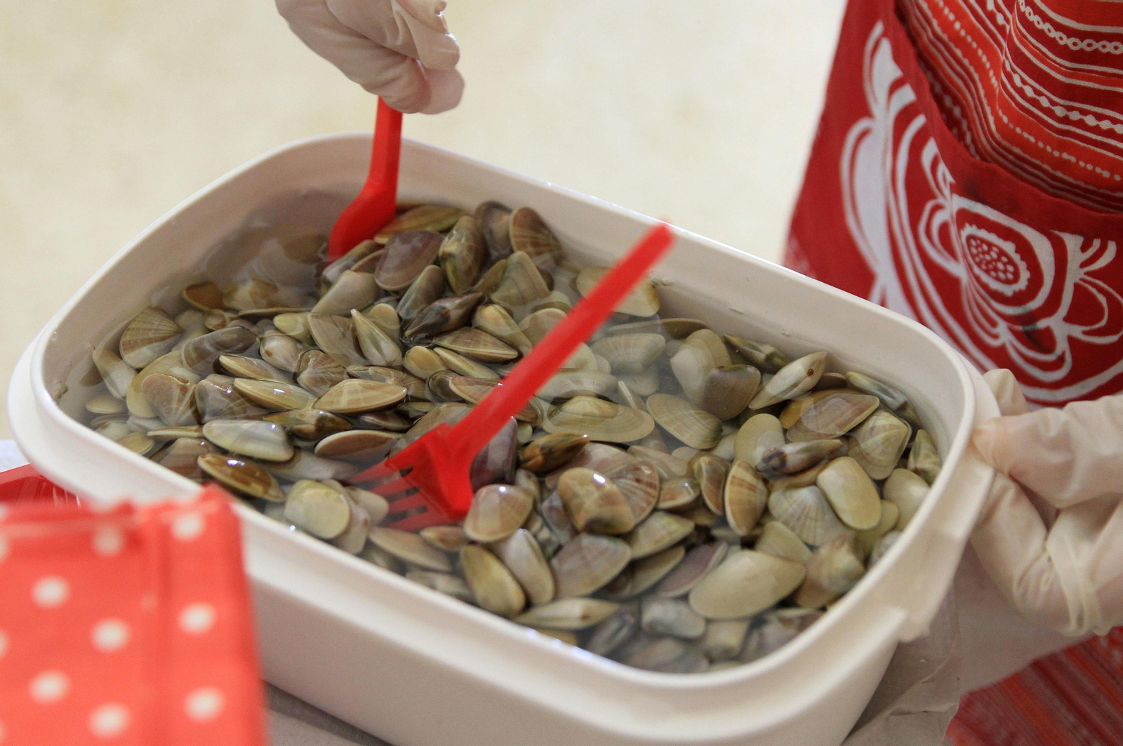 Imágenes del "Masterchef" realizado en las Teresianas con motivo de la celebración del 28-F