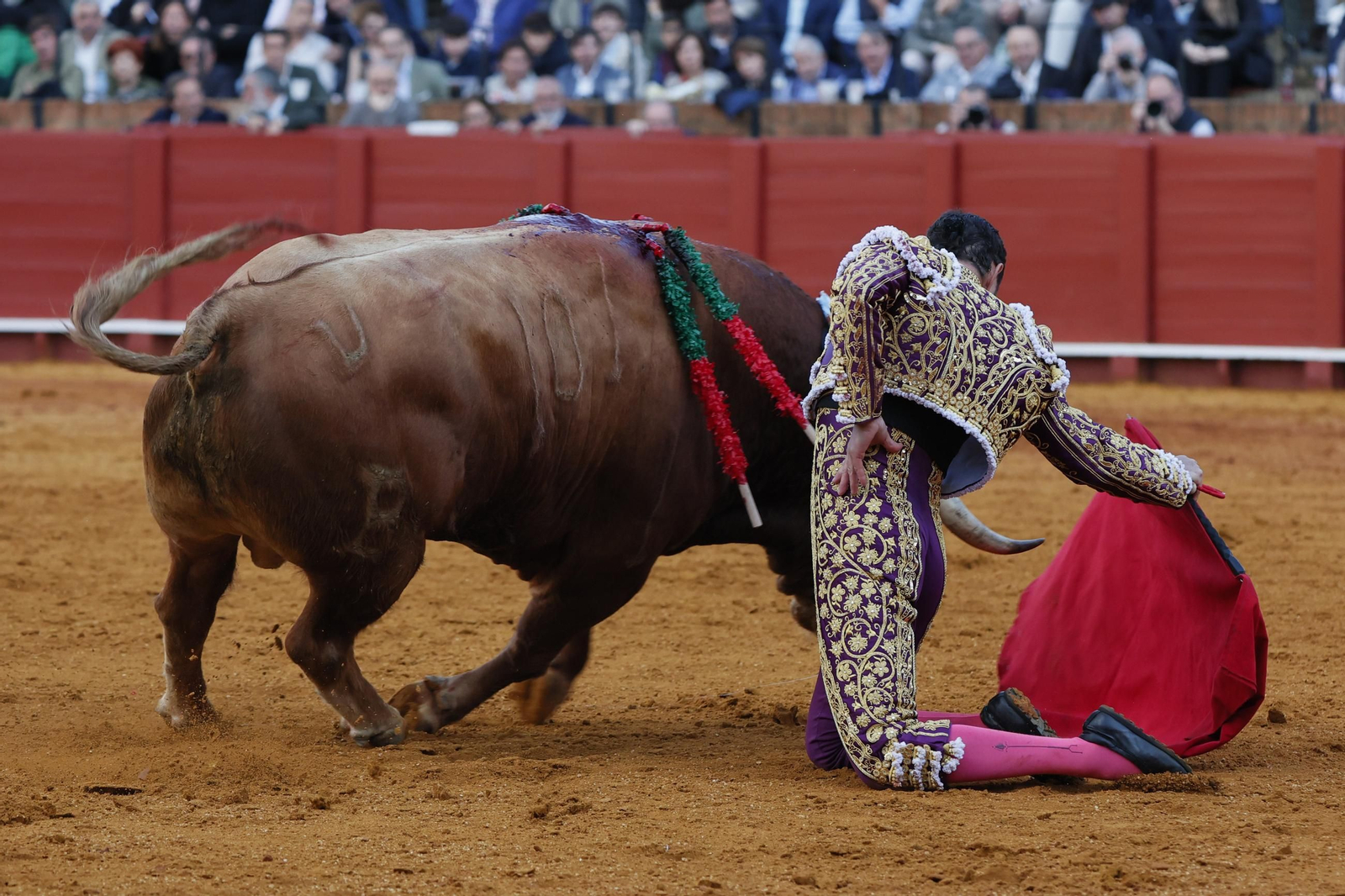 Las Imágenes del festejo
