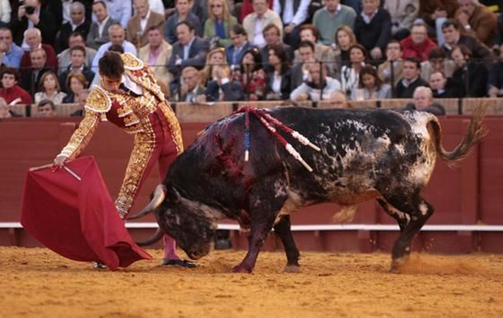 Antonio Nazaré en un derechazo al sexto.

Foto: Juan Carlos Muñoz