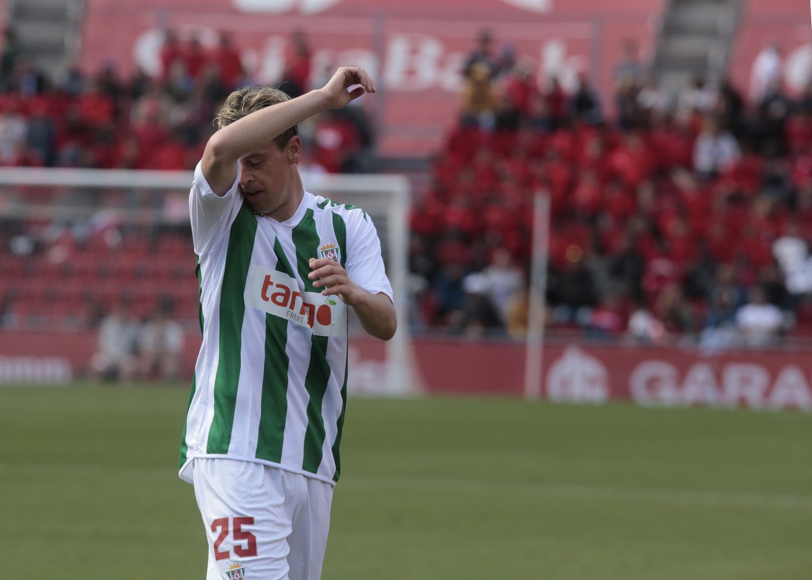 Las imágenes del Mallorca-Córdoba