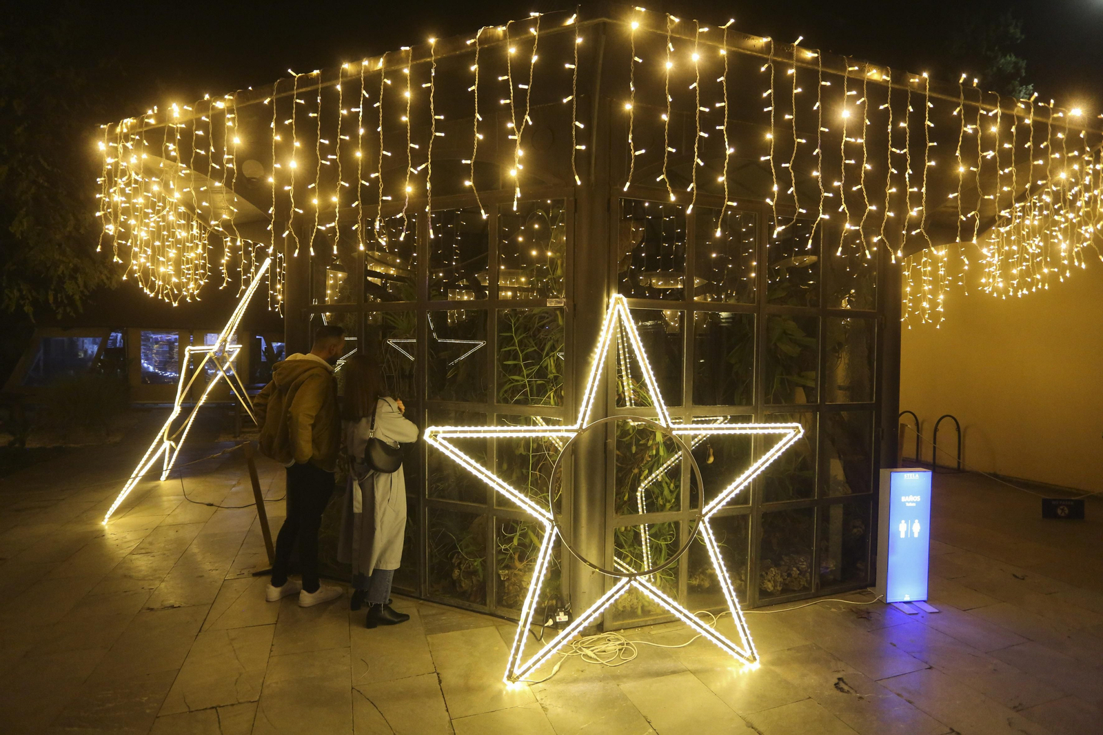 Las luces del Jardín Botánico de Málaga esta Navidad, en fotos