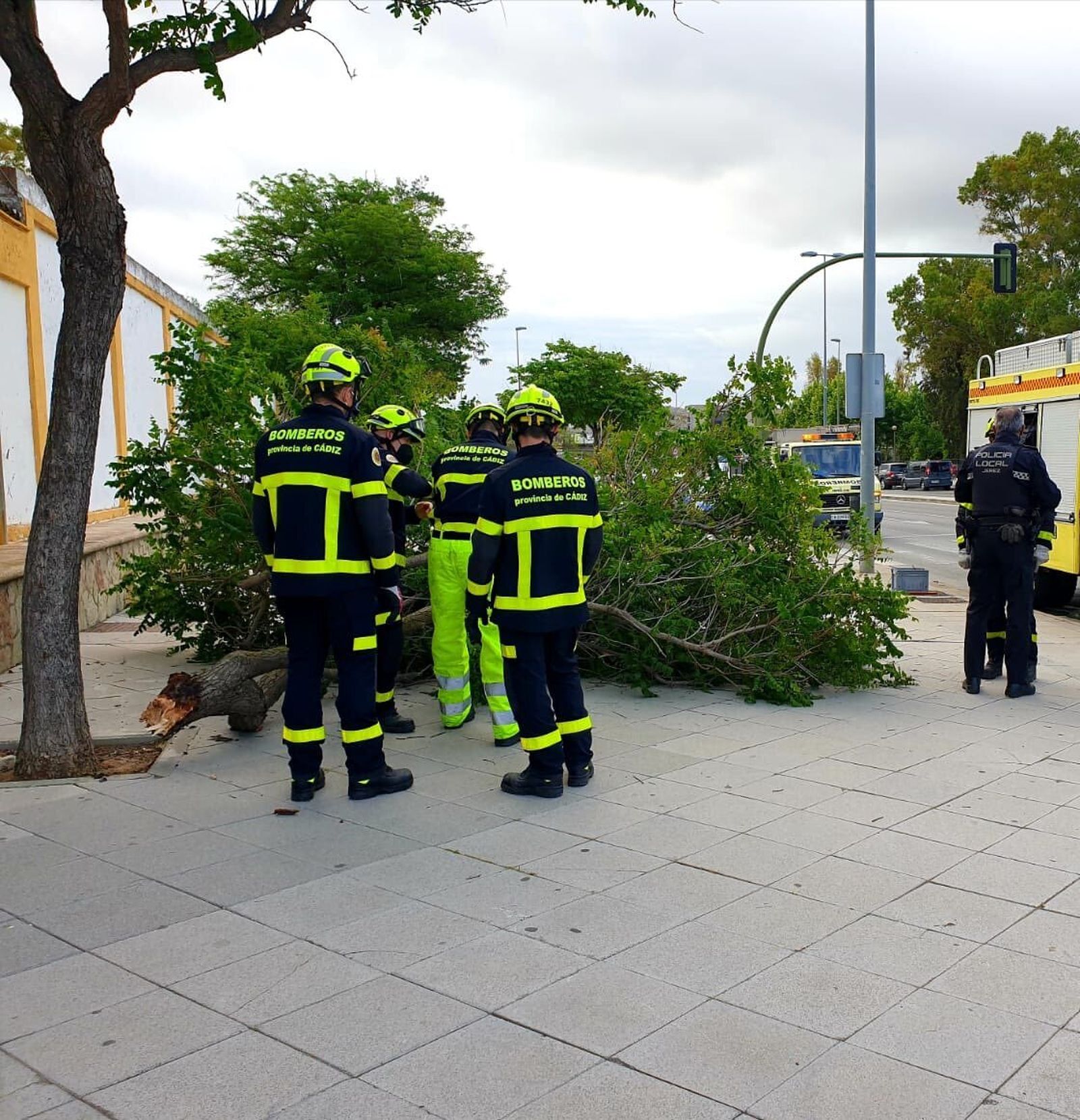 Los bomberos de Jerez retiran ramas por el fuerte viento.