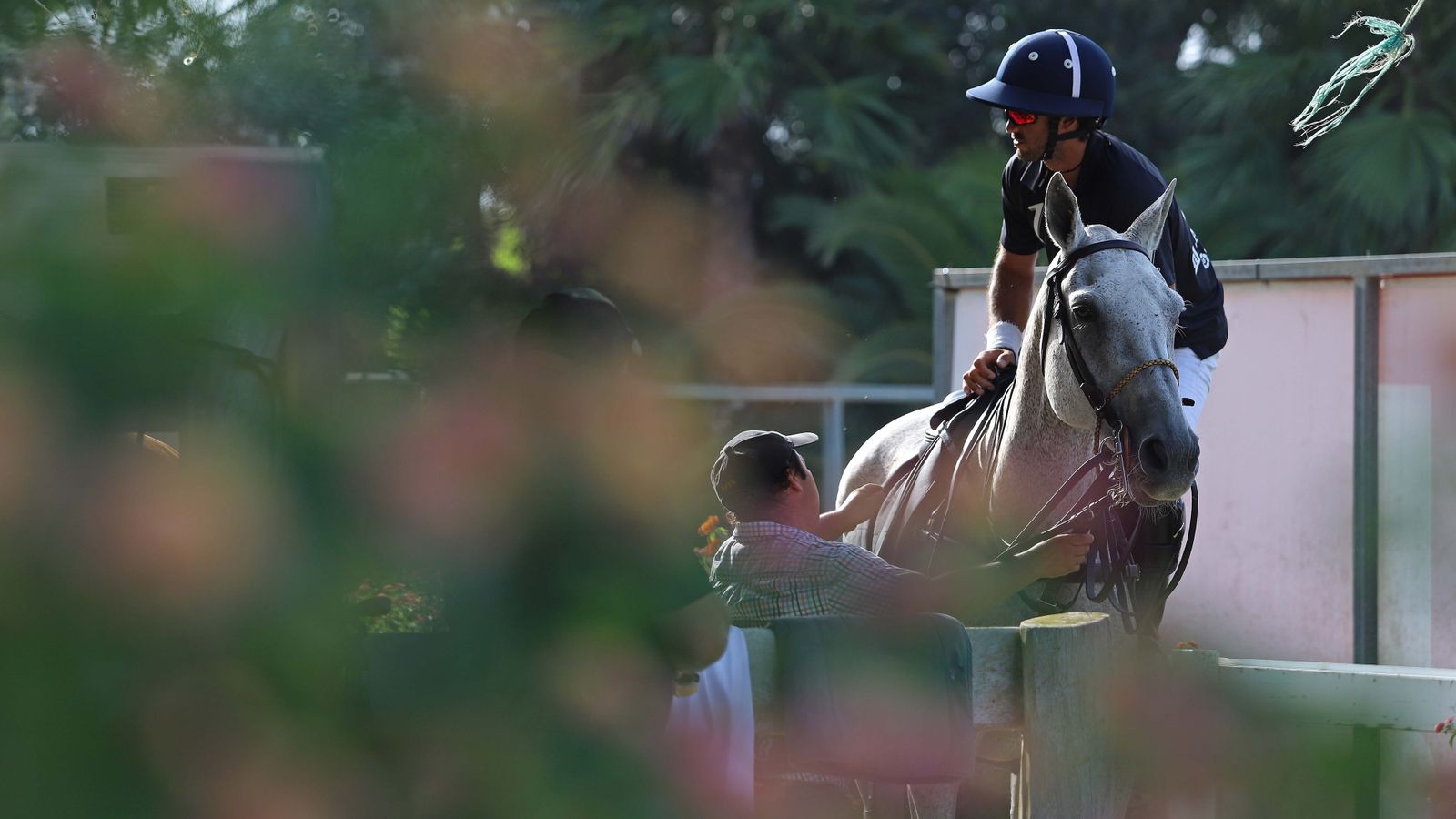 El polo desde dentro