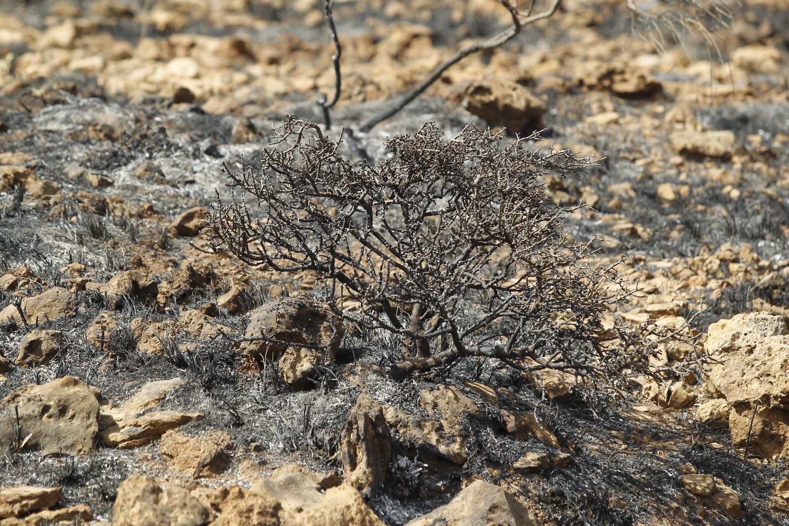 Fotogalería incendio extinguido Sierra de Gádor