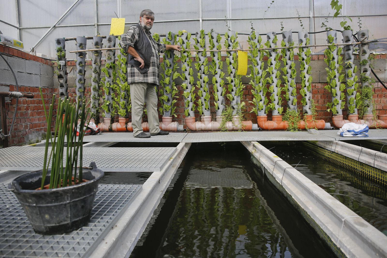 Una instalación de acuaponía el municipio de Cajiz.