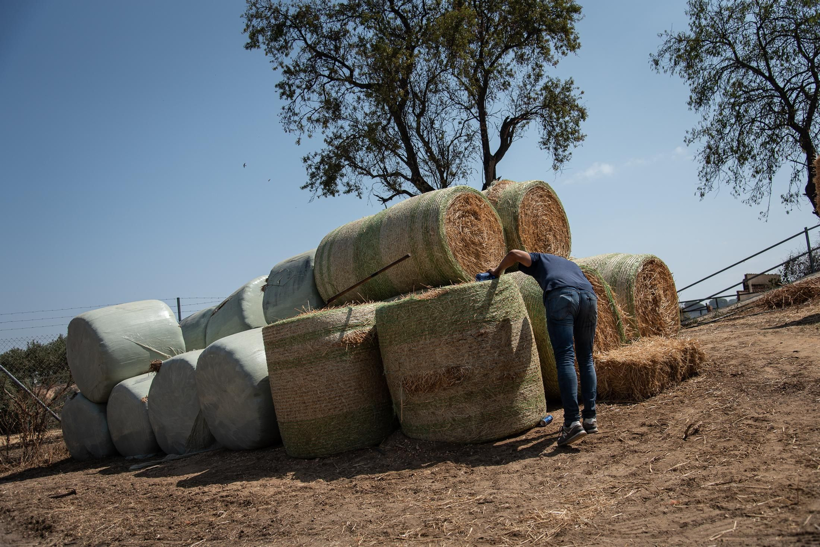 Imágenes de los destrozos causados por el incendio de Lucena del Puerto