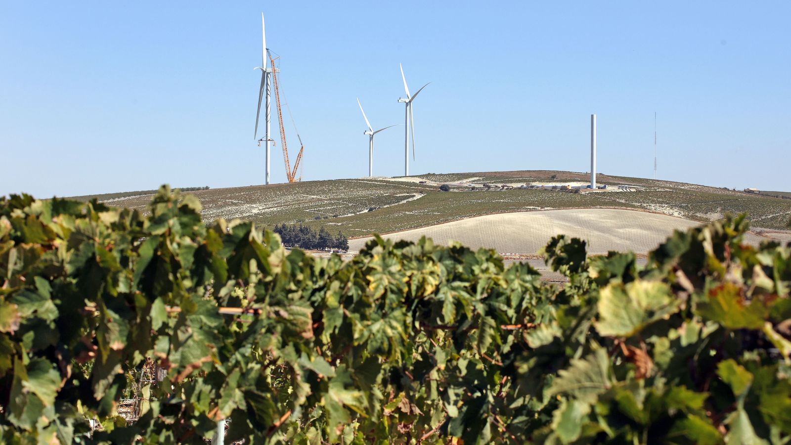 La construcción de aerogeneradores entre viñas