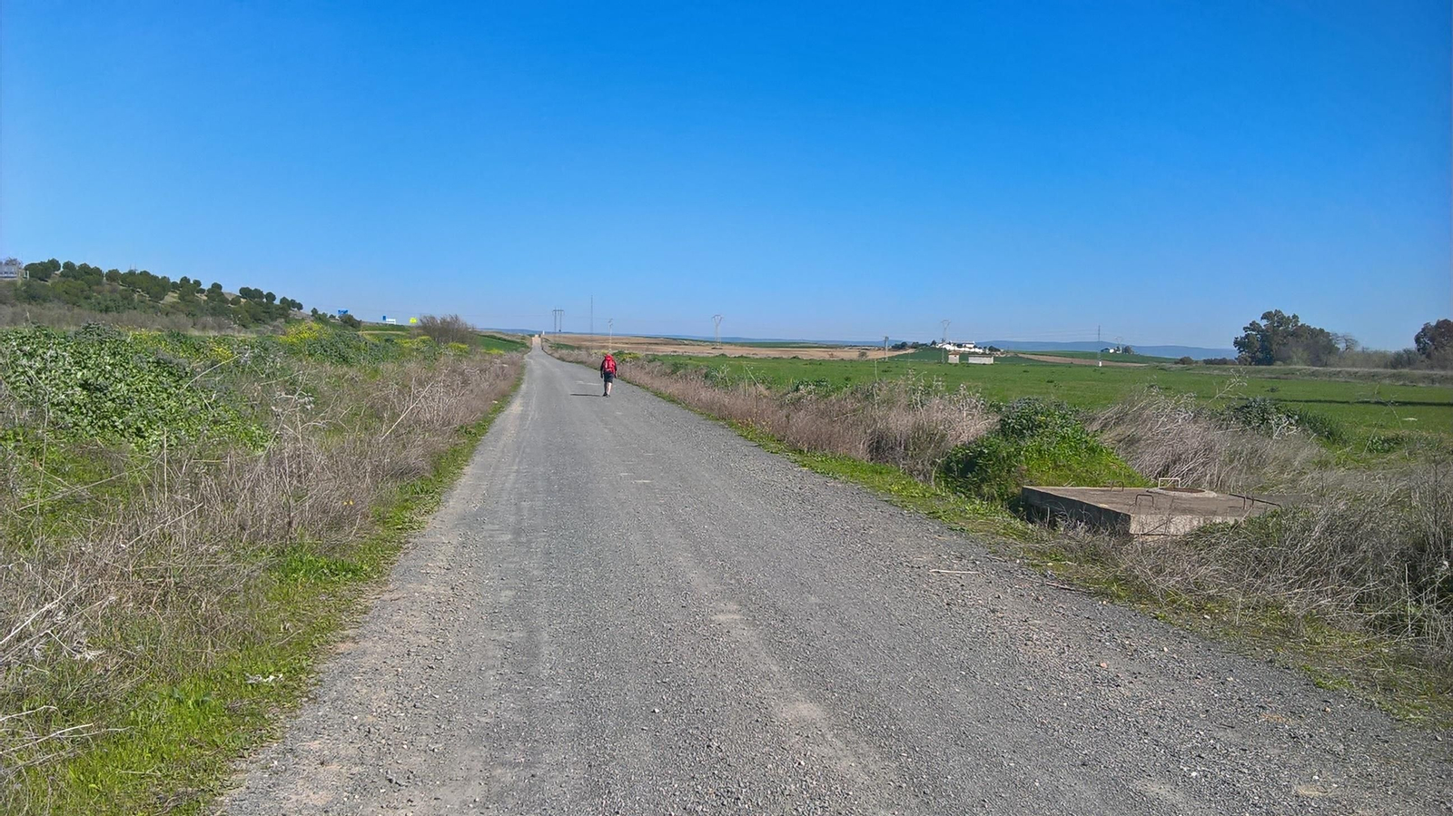 Un peregrino avanza rumbo a Guillena.