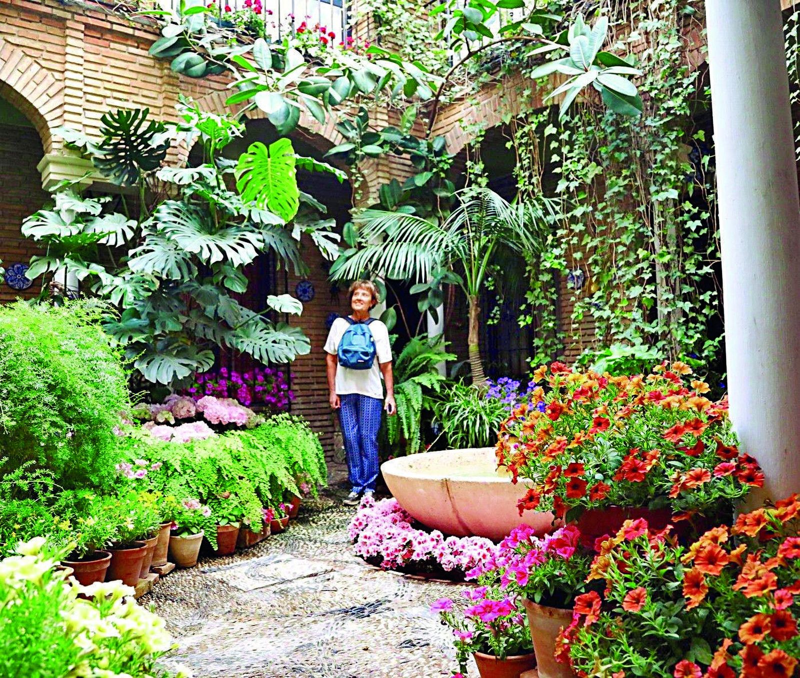 Guía de los Patios: Maese Luis, 4