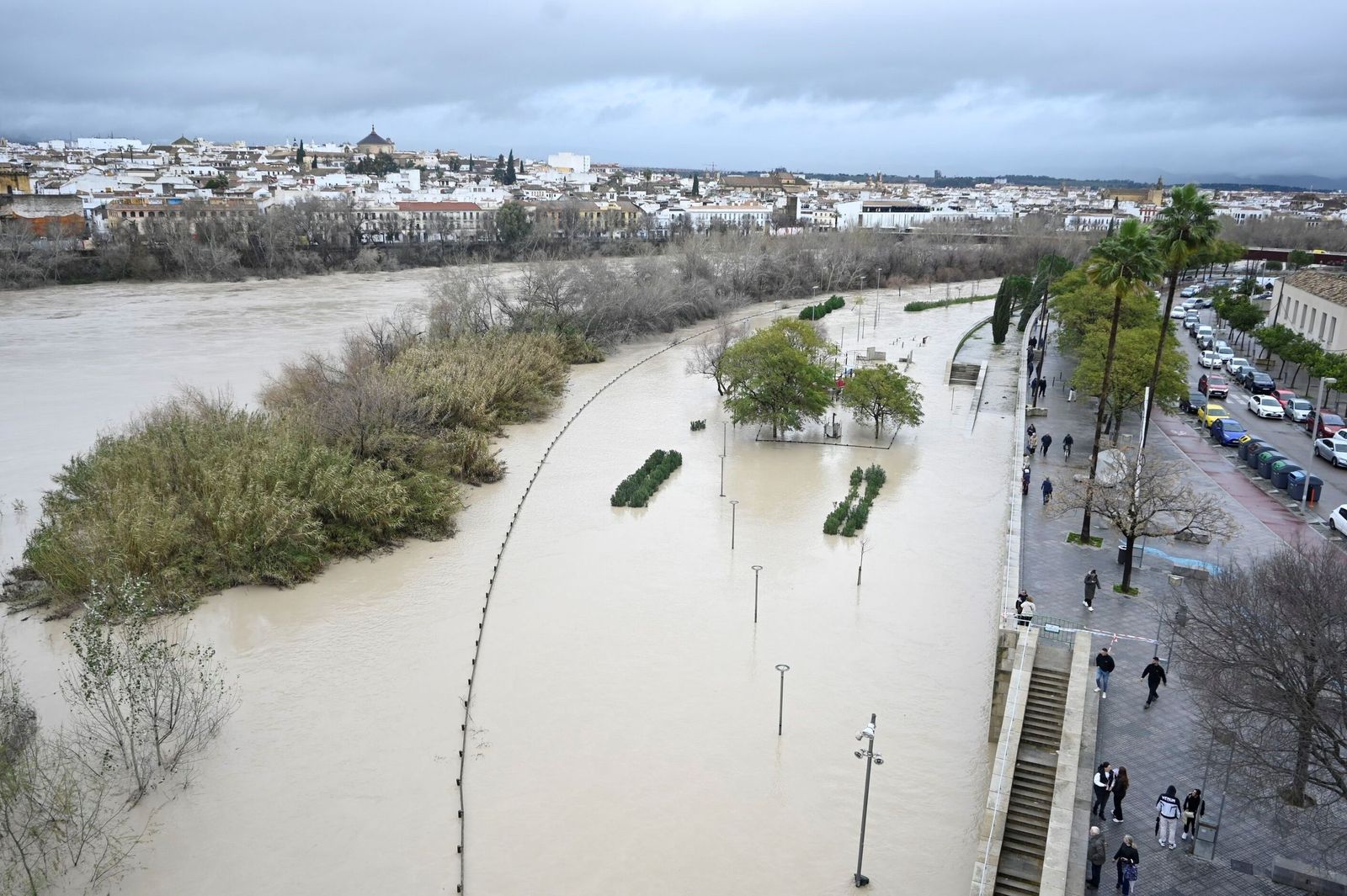 La impresionante crecida del río Guadalquivir: se acerca a los 6 metros a su paso por Córdoba