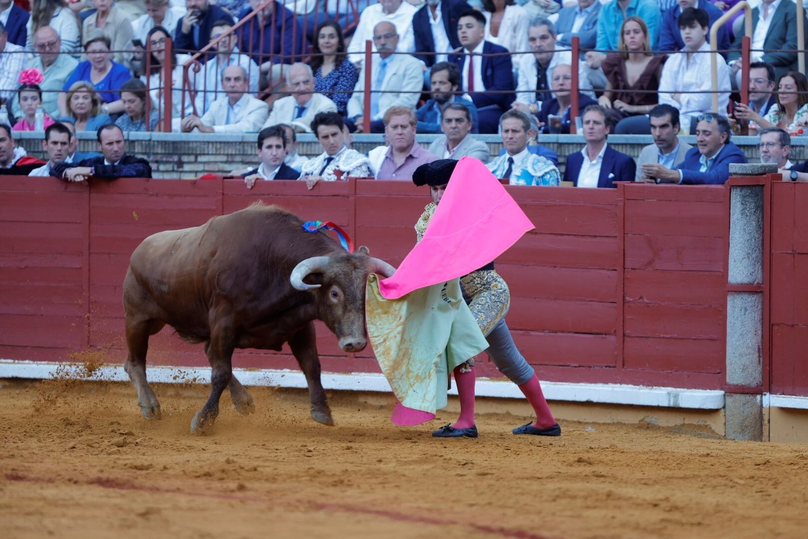 Las mejores fotos de la corrida de Morante, Ortega y Roca Rey en la Feria Taurina de Córdoba