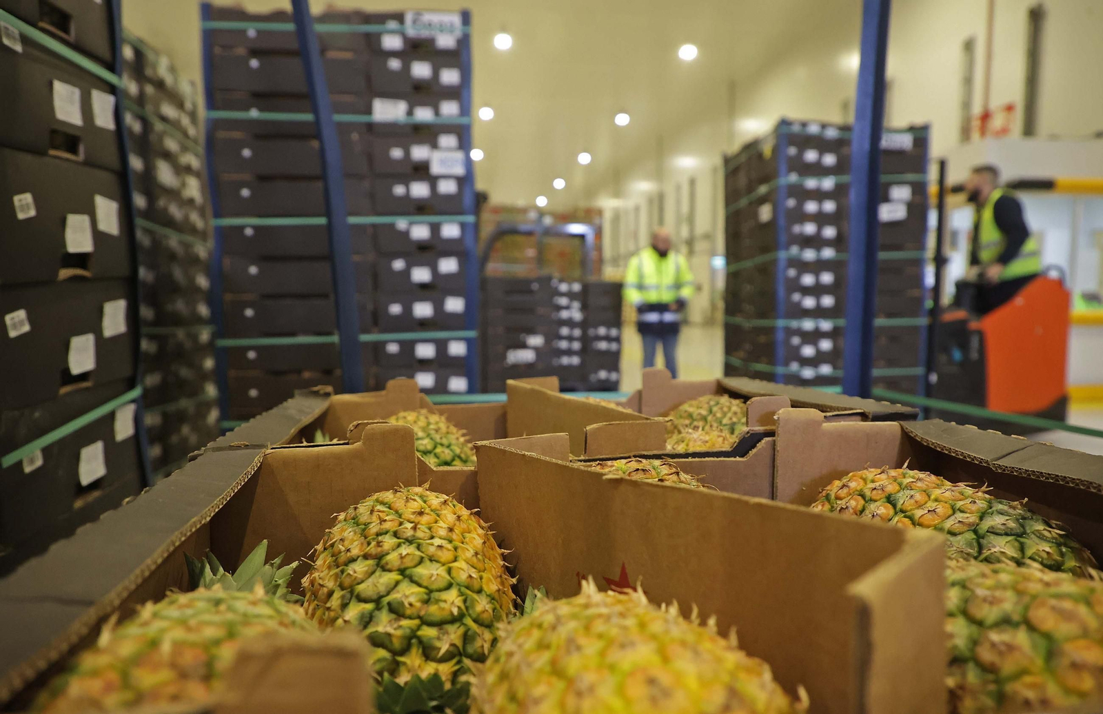 Fotos de la visita a la empresa Americold en el Puerto de Algeciras