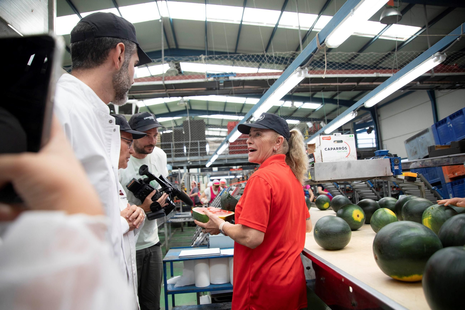 Vea cómo es el trabajo con las fantásticas sandías Premium en Grupo Caparrós
