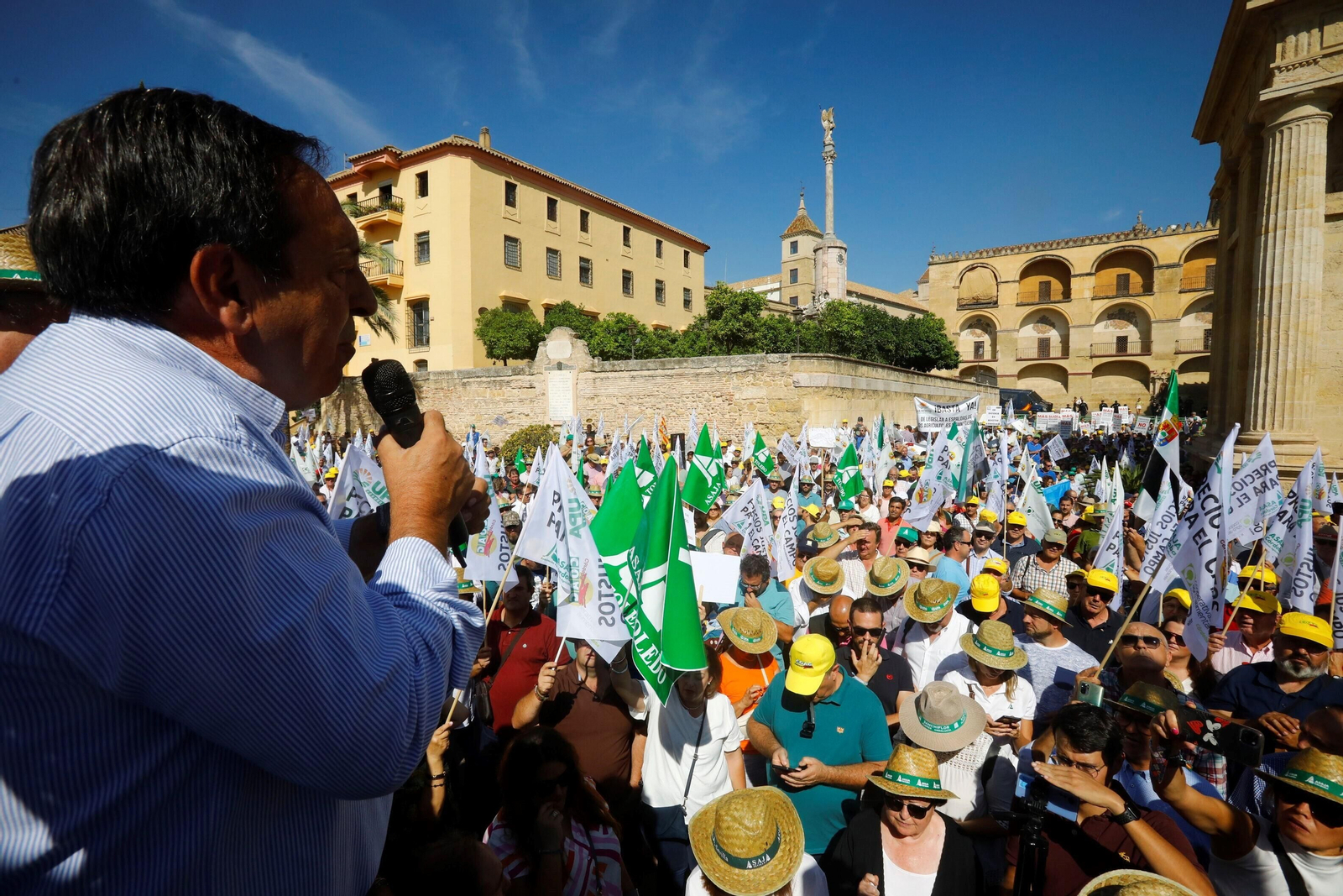 La protesta del sector agrario contra las políticas de la UE en Córdoba, en imágenes