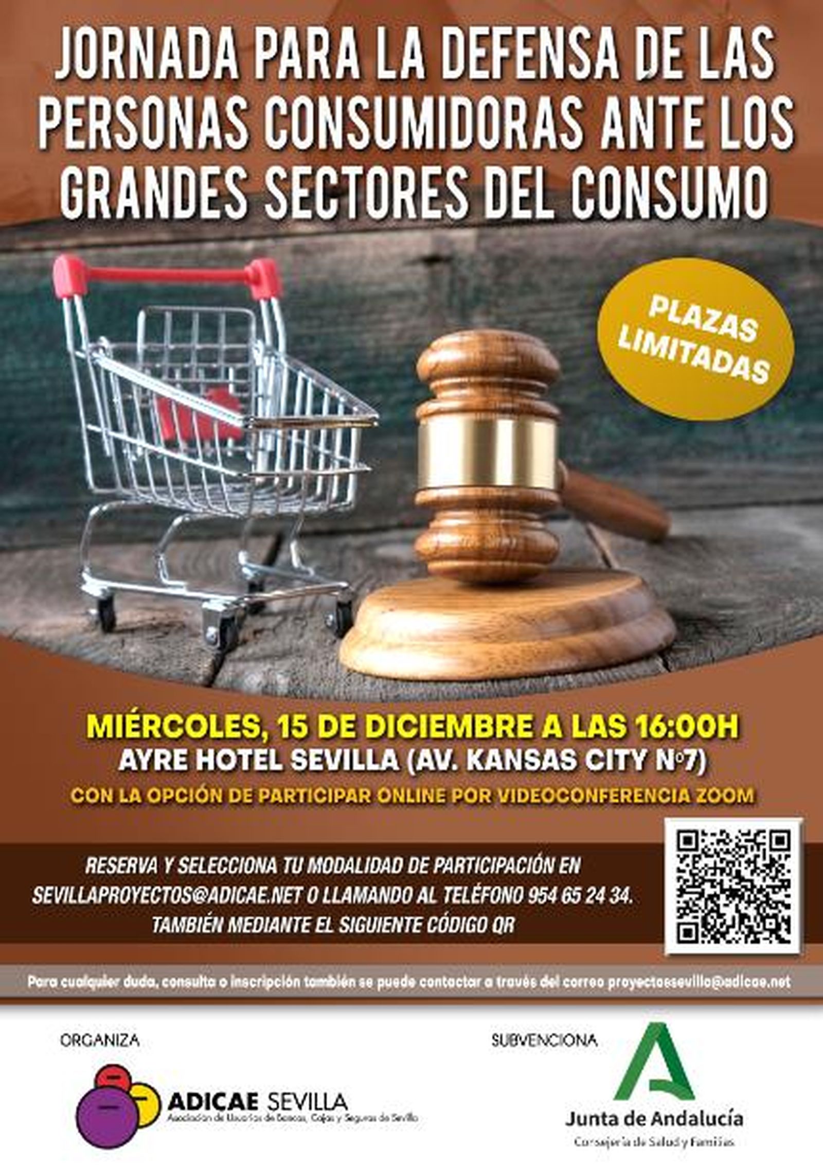 Jornada 'La defensa de las personas consumidoras ante los grandes sectores de consumo'