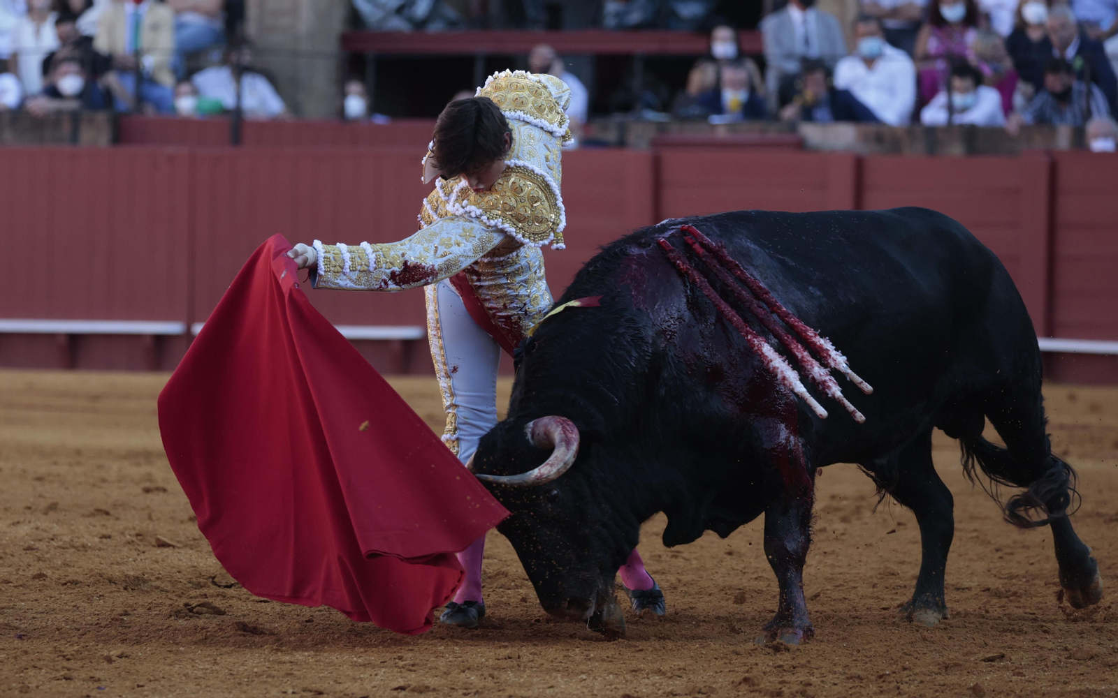 Las imágenes del primer festejo de San Miguel