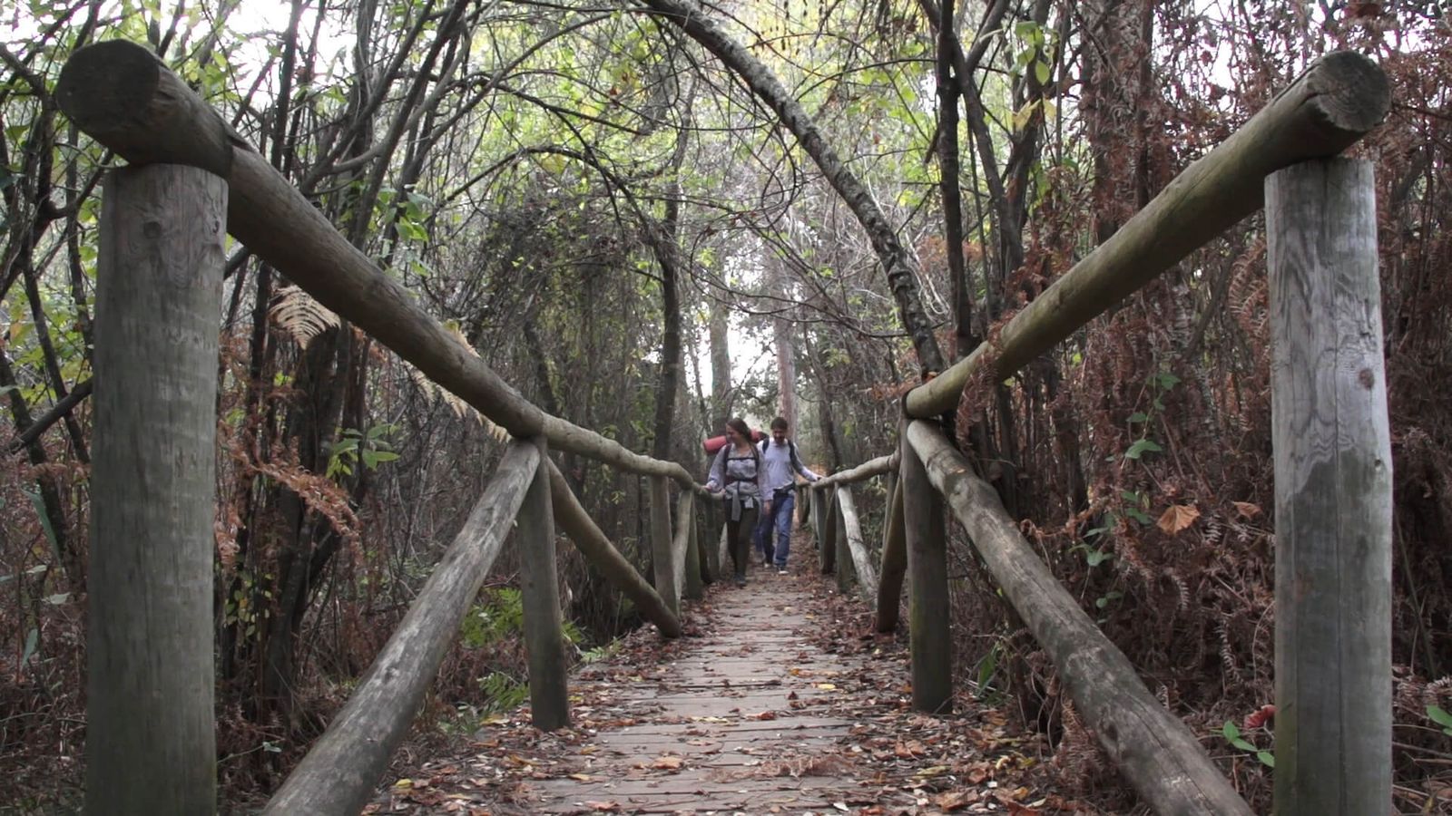 Sendero por el charco del Acebrón