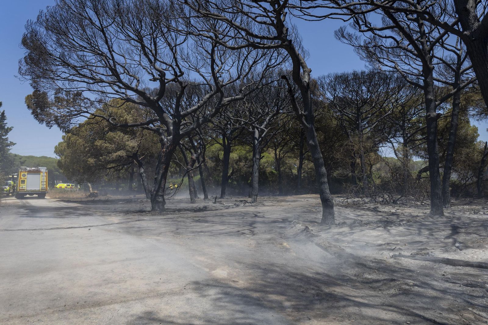 Las imágenes del incendio declarado junto a Roche, en Conil