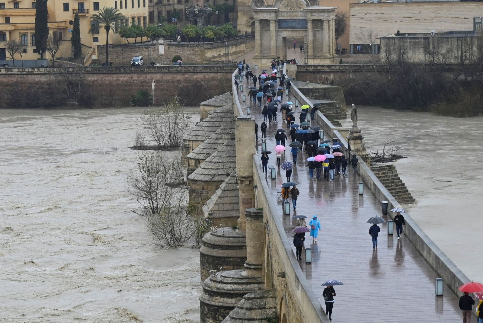Las impactantes imágenes de la crecida del río Guadalquivir a su paso por Córdoba