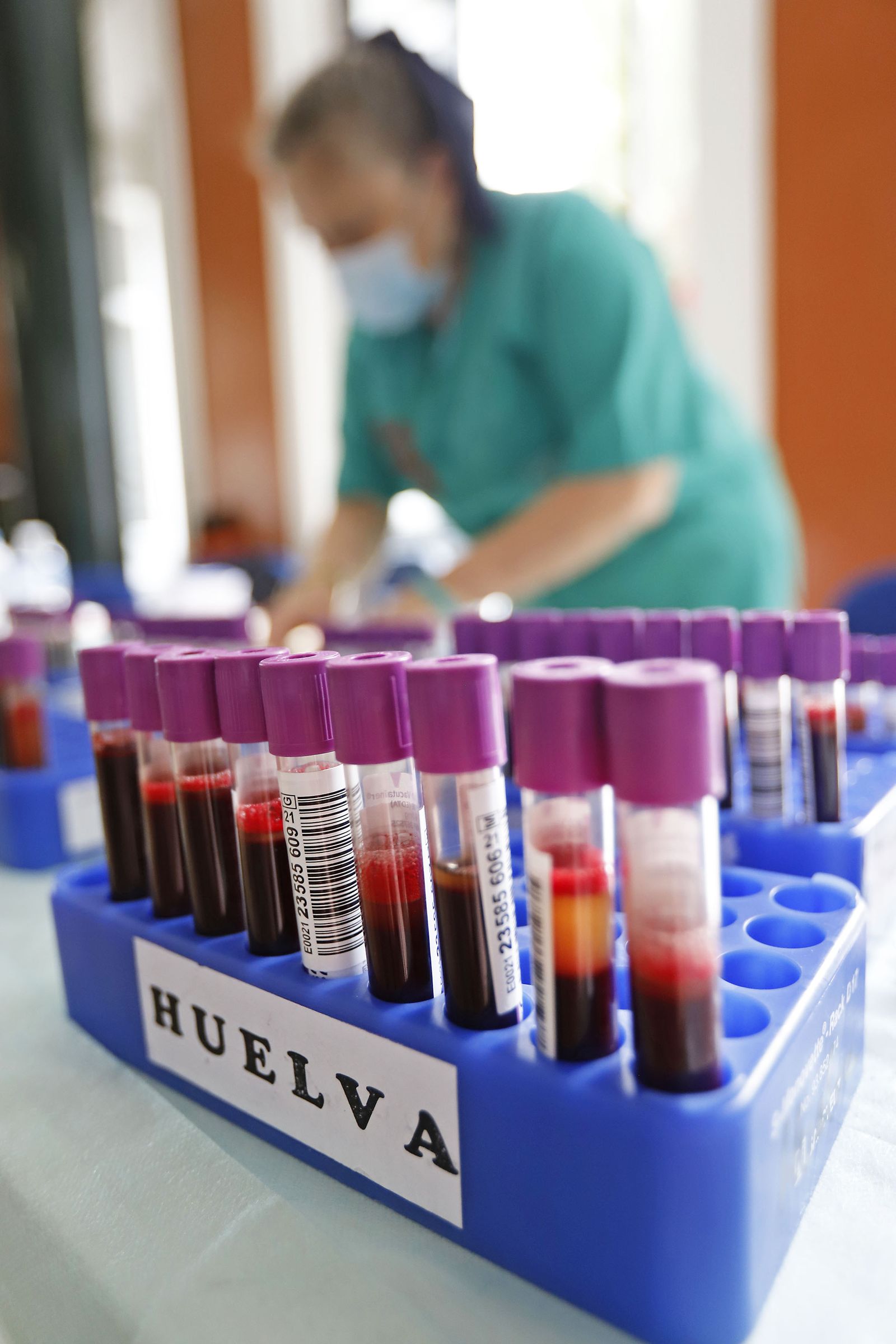 Imágenes de la Macrocolecta de sangre en la Casa Colón