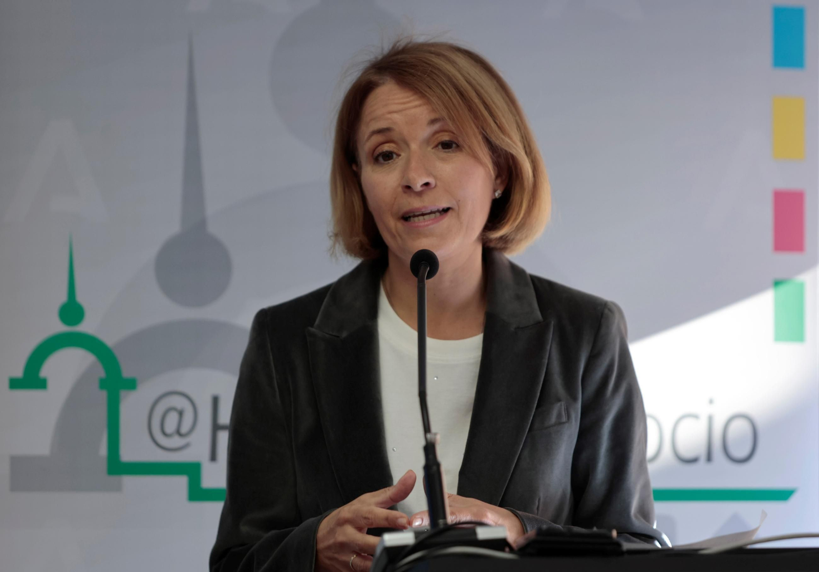 La actual directora gerente del SAS, Valle García, en una comparecencia pública.