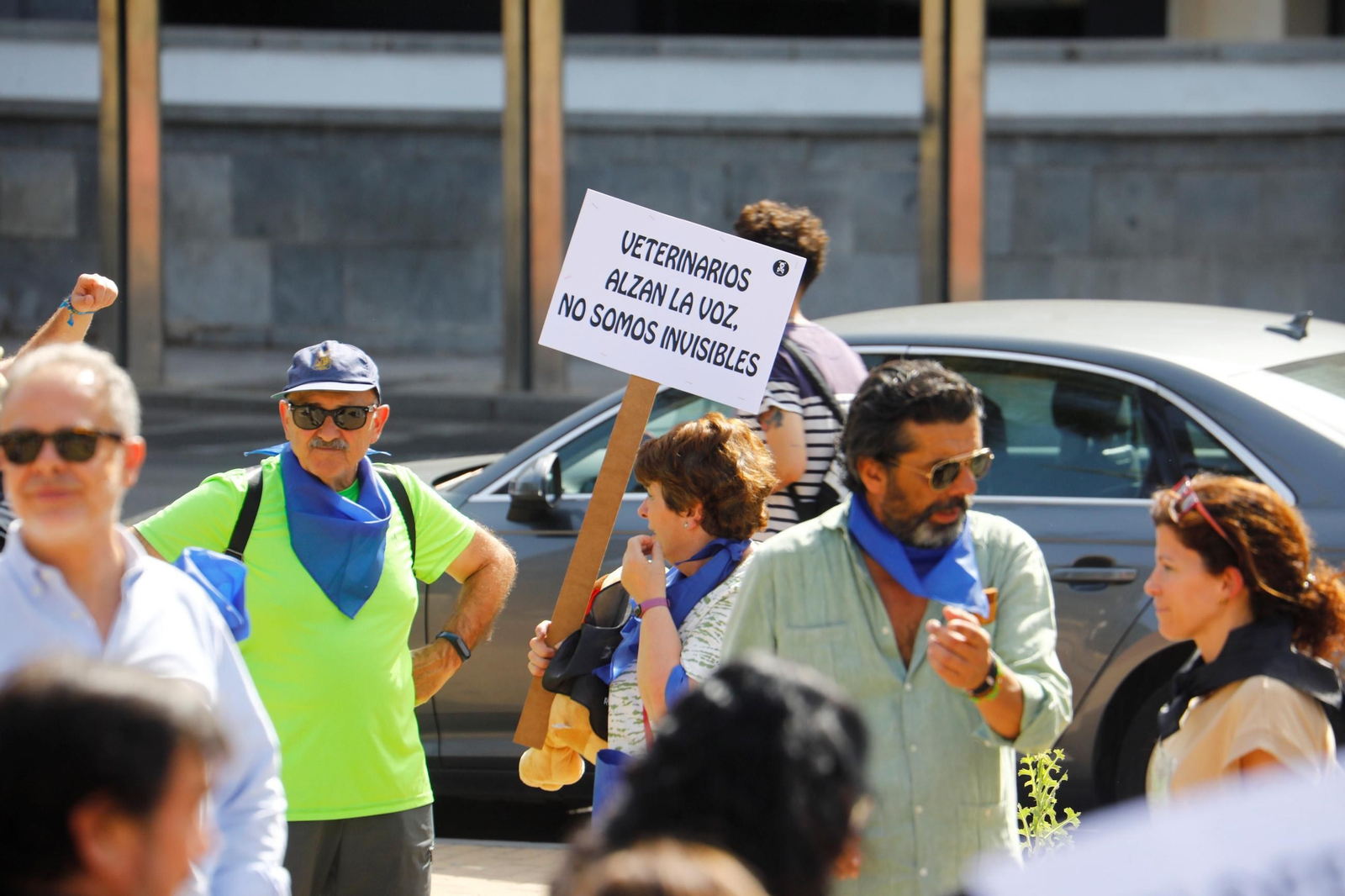 Las imágenes de la protesta de los veterinarios de Córdoba contra el decreto 666/2023 Las imágenes de la protesta de los veterinarios de Córdoba contra el decreto 666/2023
