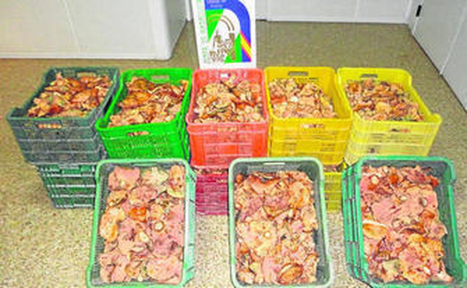 Setas decomisadas por la Policía Adscrita.