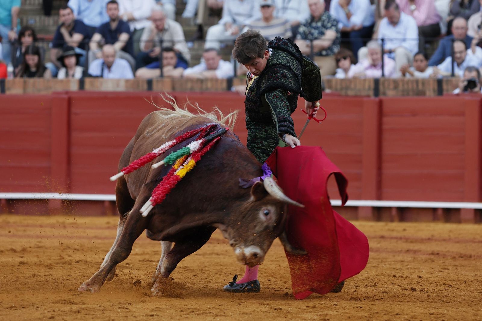 Las imágenes de la Novillada