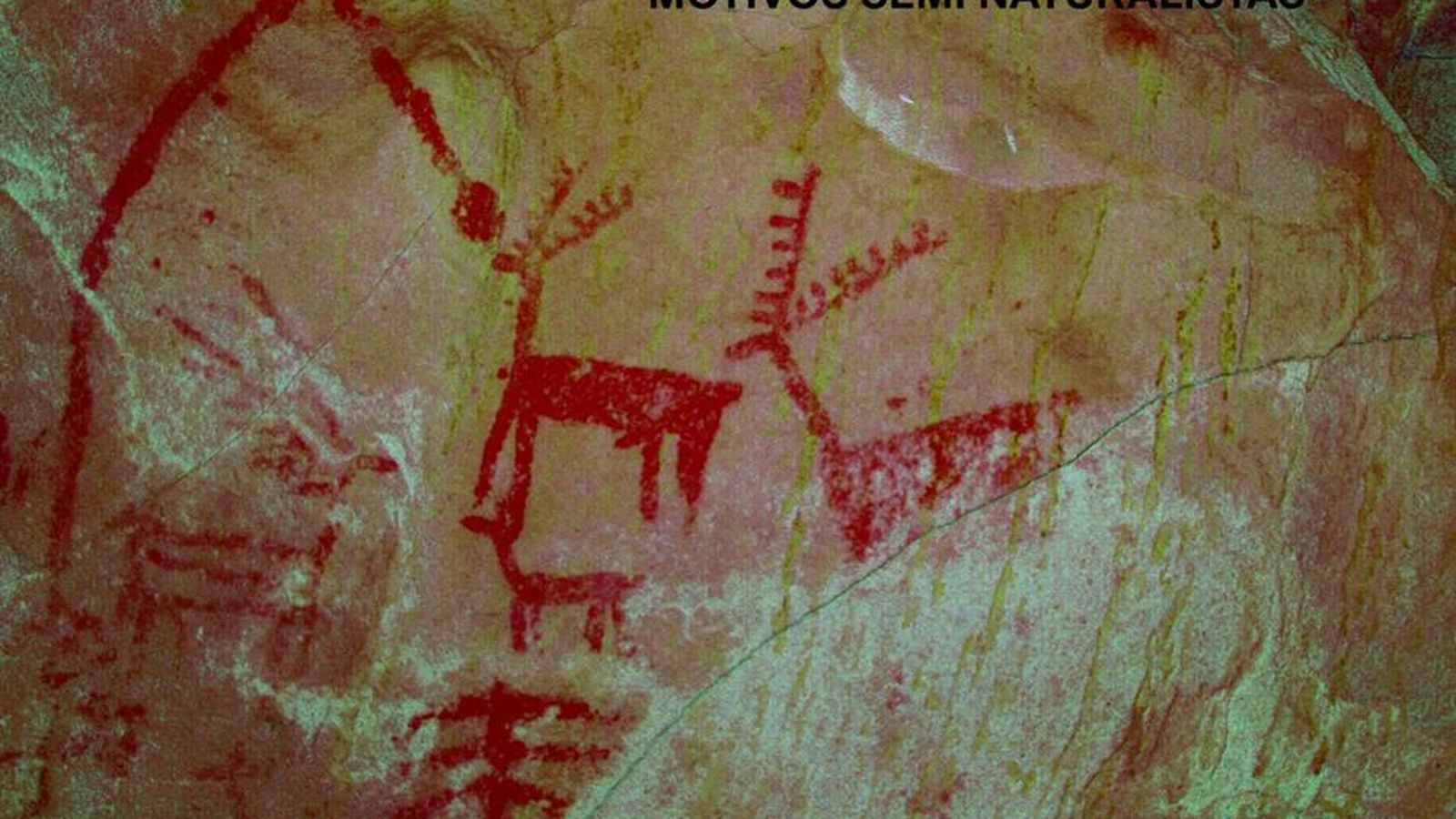 Motivos naturalistas de la cueva de las Palomas I, Tarifa.