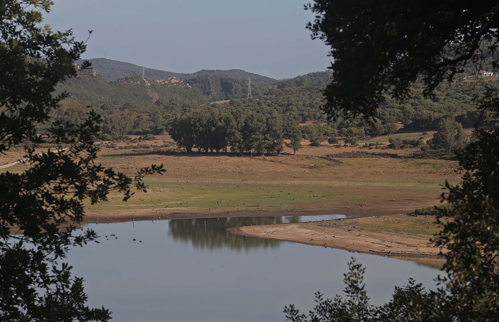 Imágenes del pantano de Charco Redondo en Los Barrios