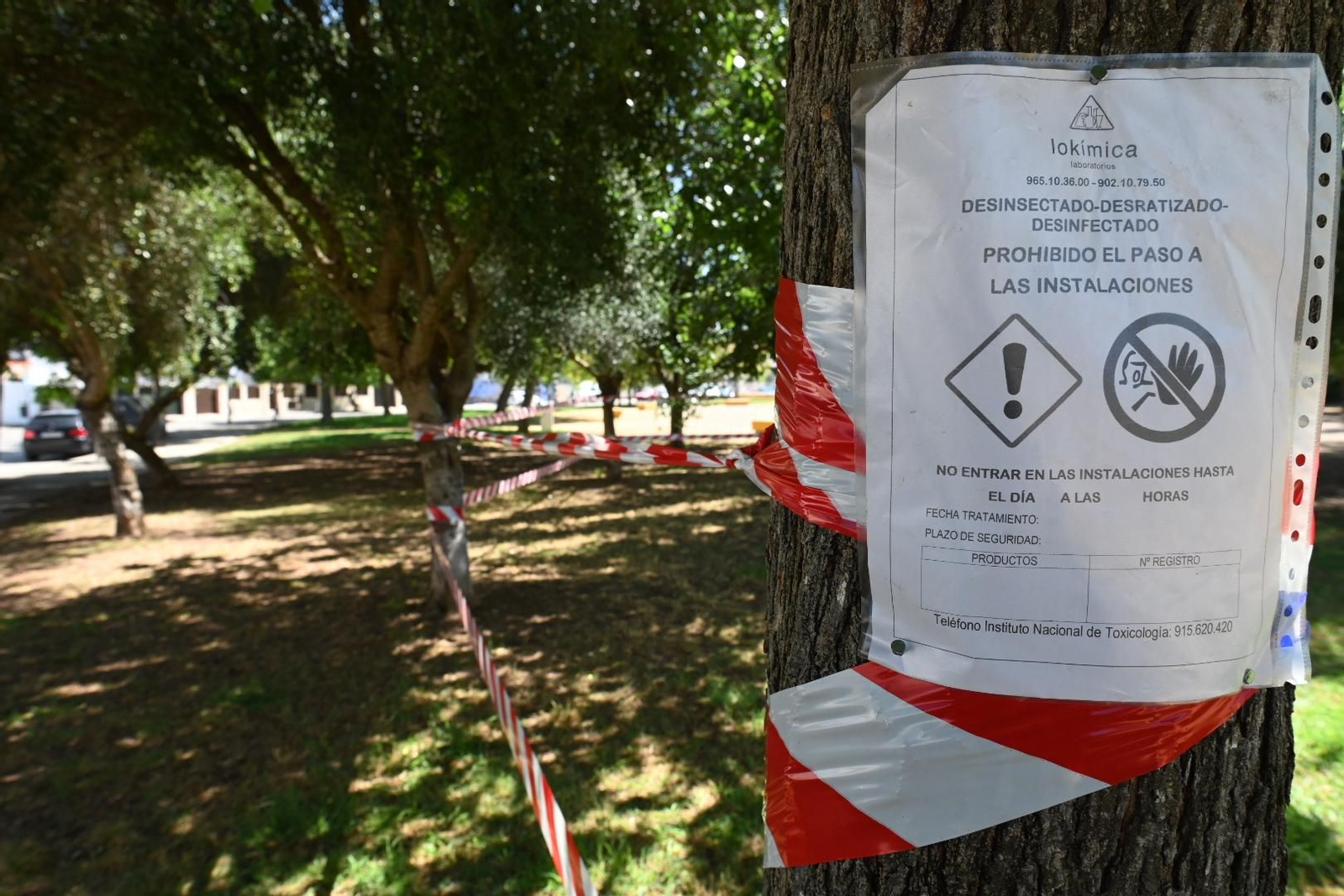 Una zona de las que se ha tratado.