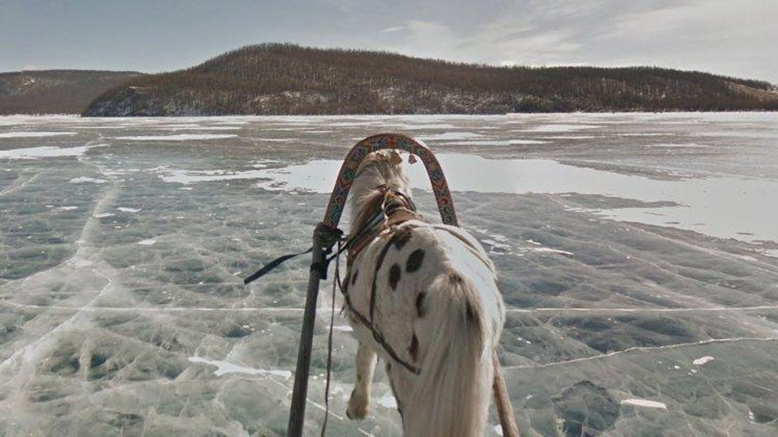 15 imágenes favoritas de Street View