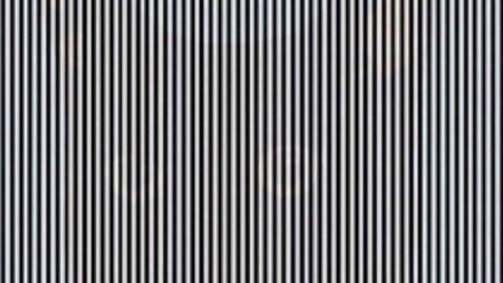 ¿Ves un gato tras estos barrotes?