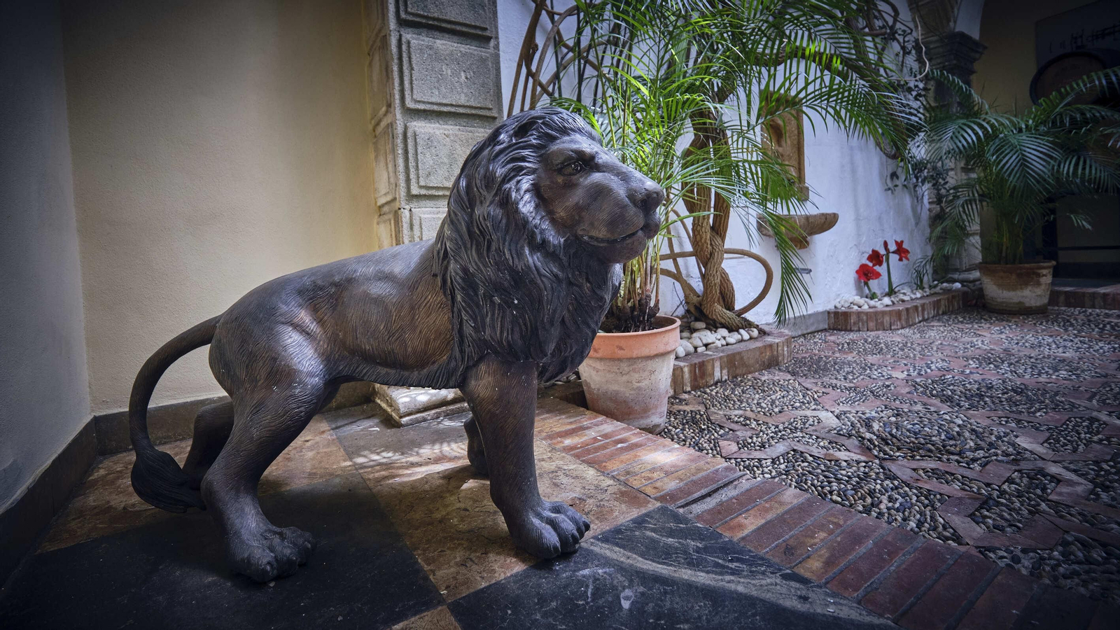 Fiesta de los patios 2023 de El Puerto