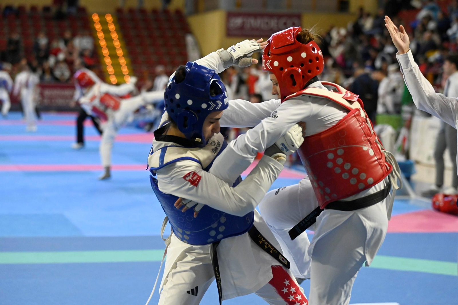 Las mejores fotos del Open Internacional de Andalucía de taekwondo en Córdoba