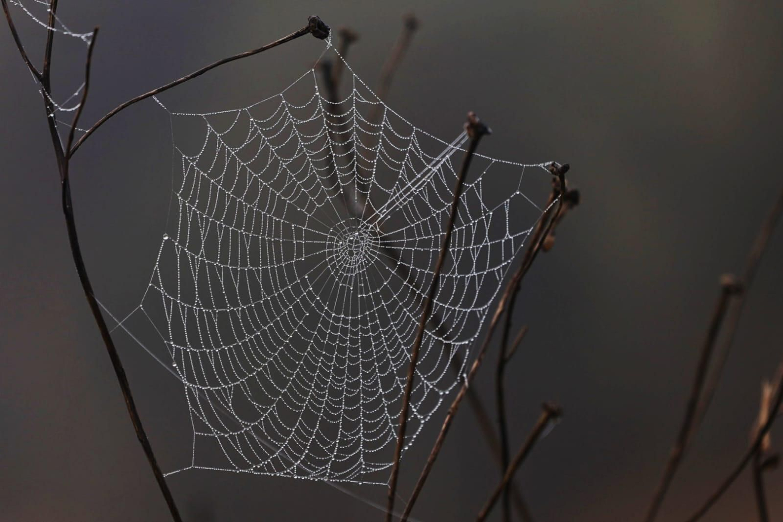 Huelva se tiñe de blanco con la densa niebla de este jueves: espectaculares imágenes de la provincia a primera hora de la mañana