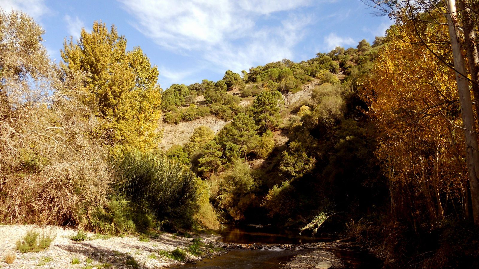 La ribera del Genal marcará el camino.