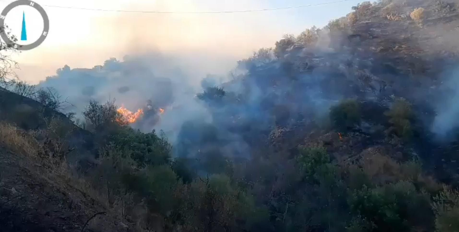 Incendio forestal declarado en Almáchar.