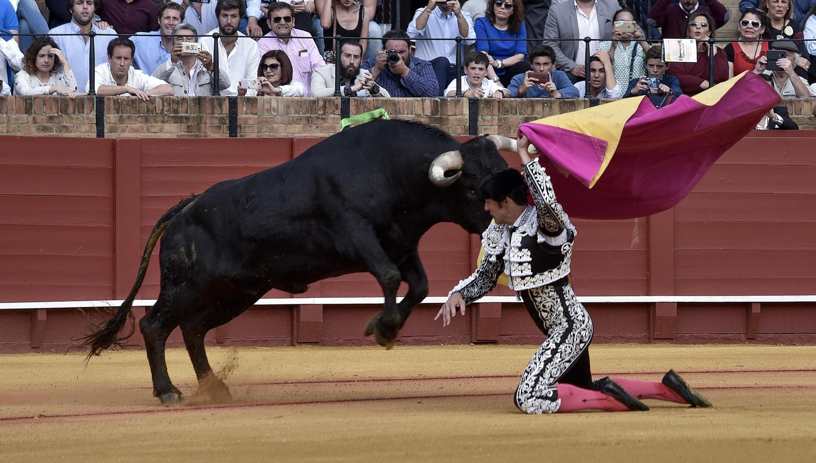 Las imágenes de la 14ª de abono de la Maestranza
