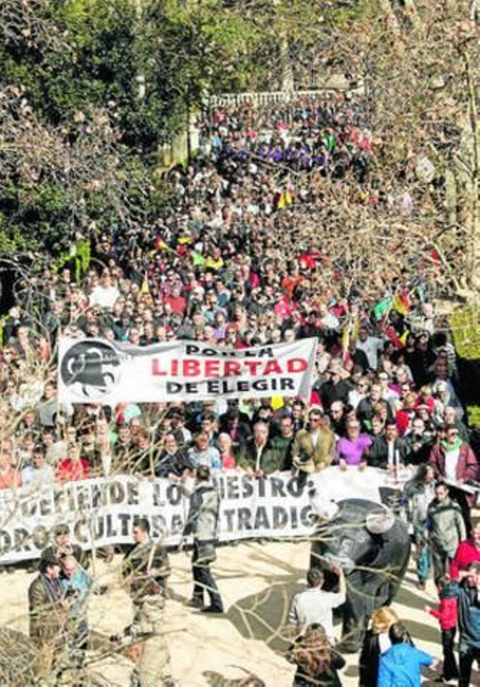 Vista general de la manifestación celebrada en Castellón.
