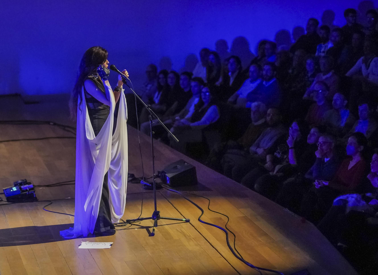 El concierto de Soleá Morente en Granada, en imágenes